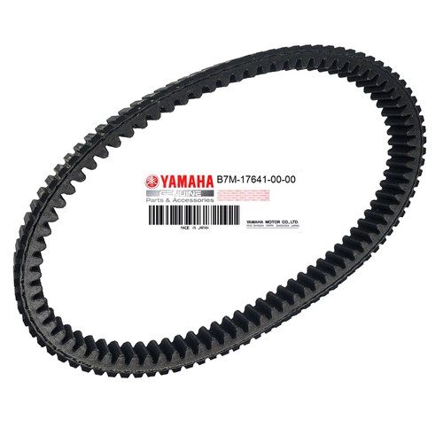 Cinghia trasmissione variatore - cinghia,