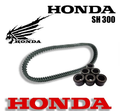 Cinghia trasmissione rulli - cinghia,