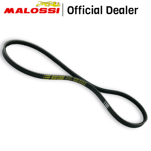 Malossi 617314 cinghia - malossi,