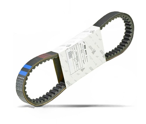 Cinghia trasmissione originale - cinghia,