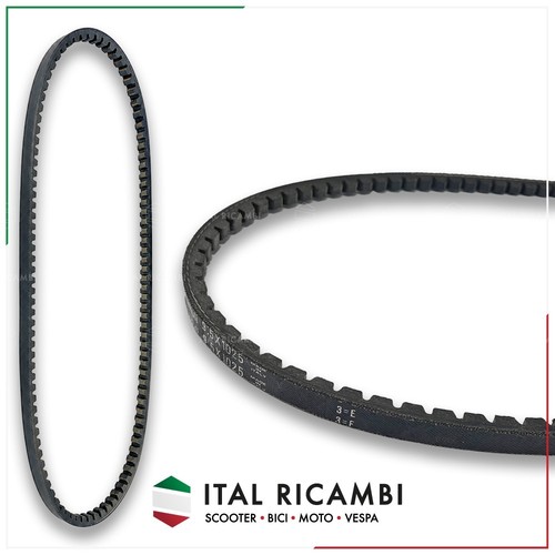 Cinghia dentata trasmissione - cinghia,