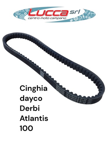 8145 cinghia trasmissione - 8145,
