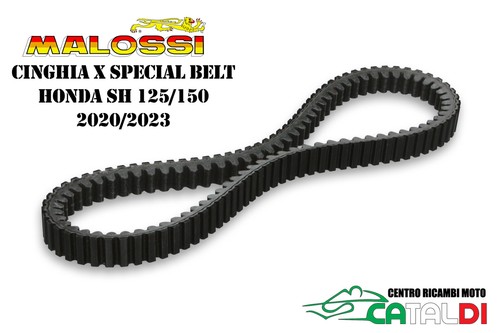 Cinghia trasmissione variatore - cinghia,
