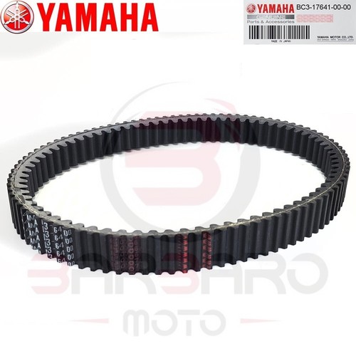 Cinghia trasmissione variatore - cinghia,