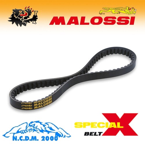 Malossi 6116889 cinghia - malossi,