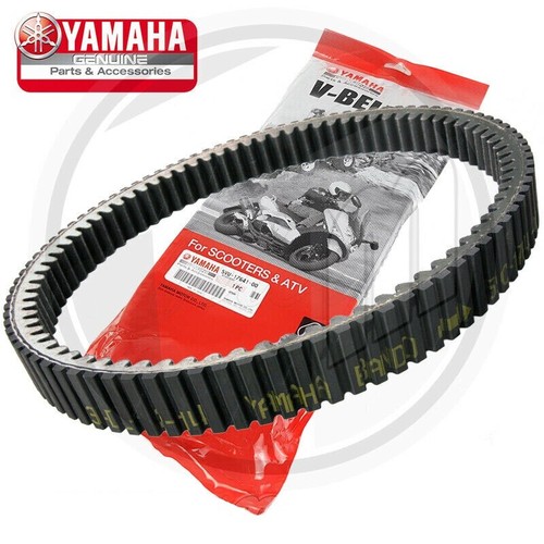 Cinghia trasmissione variatore - cinghia,