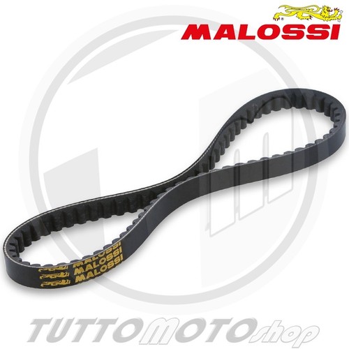Cinghia trasmissione malossi - trasmissione,